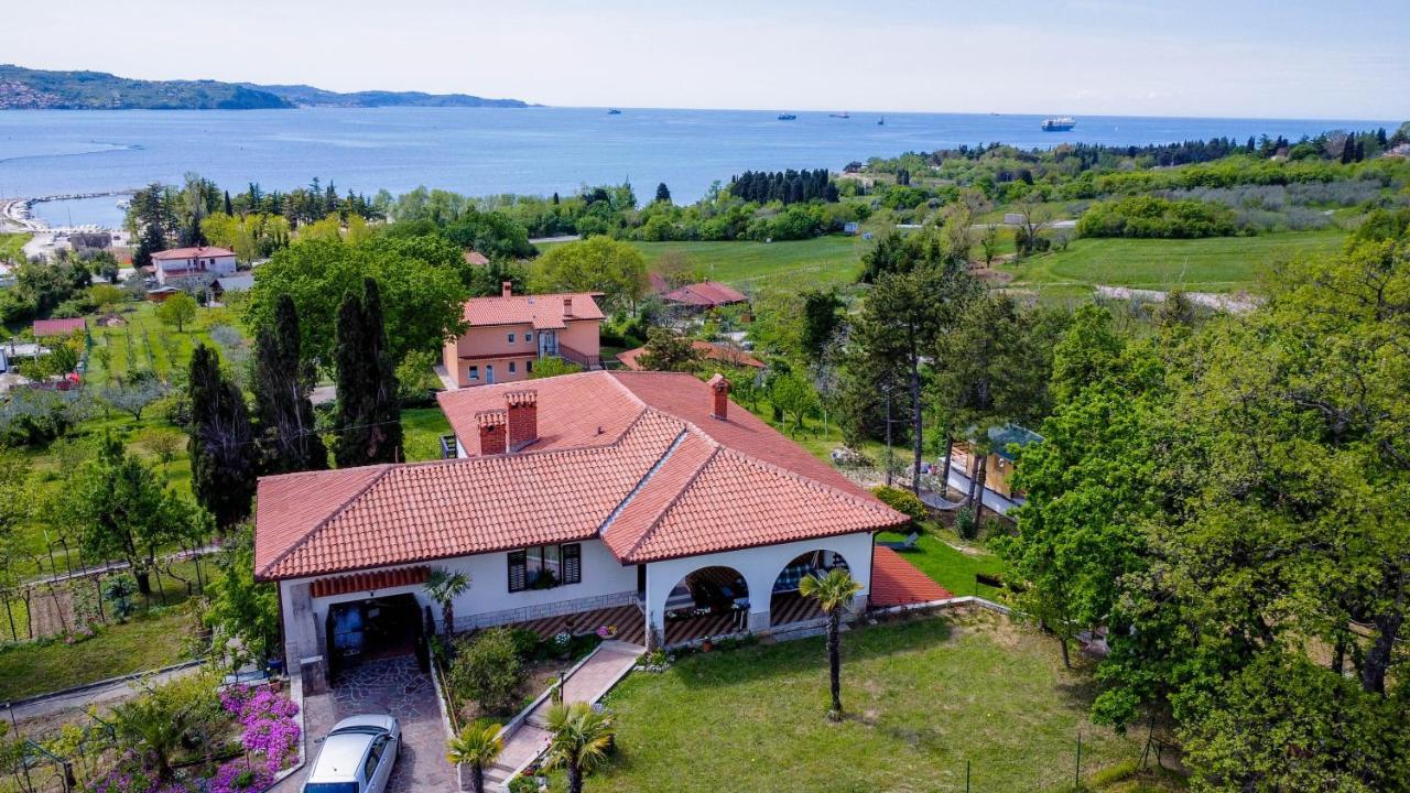 Active Chillax Oasis Apartments 안카란 외부 사진