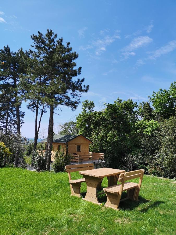 Active Chillax Oasis Apartments 안카란 외부 사진