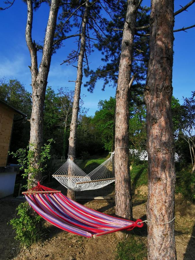 Active Chillax Oasis Apartments 안카란 외부 사진