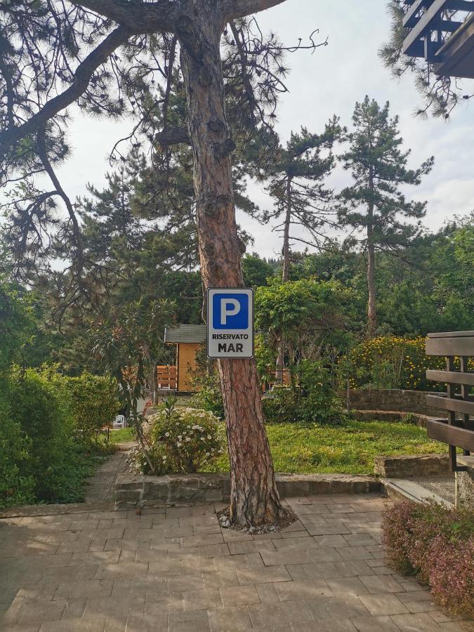 Active Chillax Oasis Apartments 안카란 외부 사진