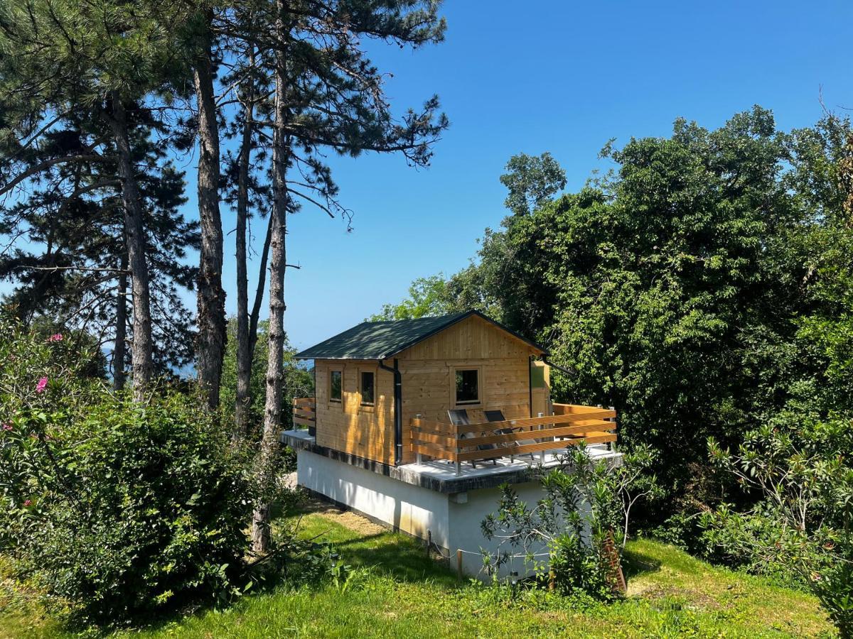 Active Chillax Oasis Apartments 안카란 외부 사진